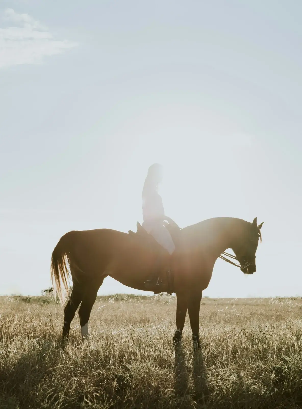 Cabalgata al atardecer