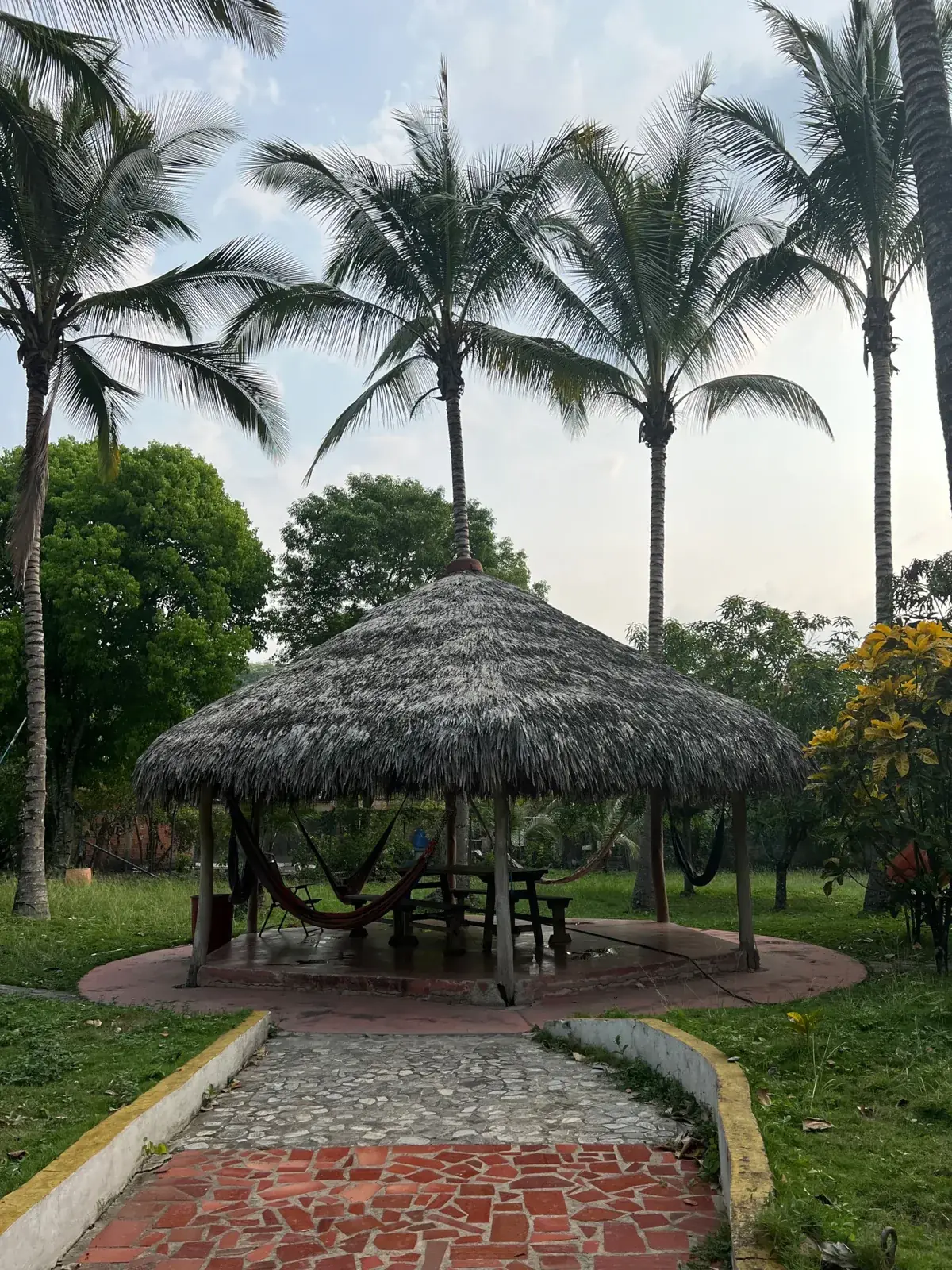 Kiosko entre palmas